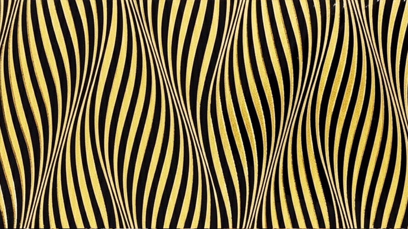 Gold Zebra Gold Zebra